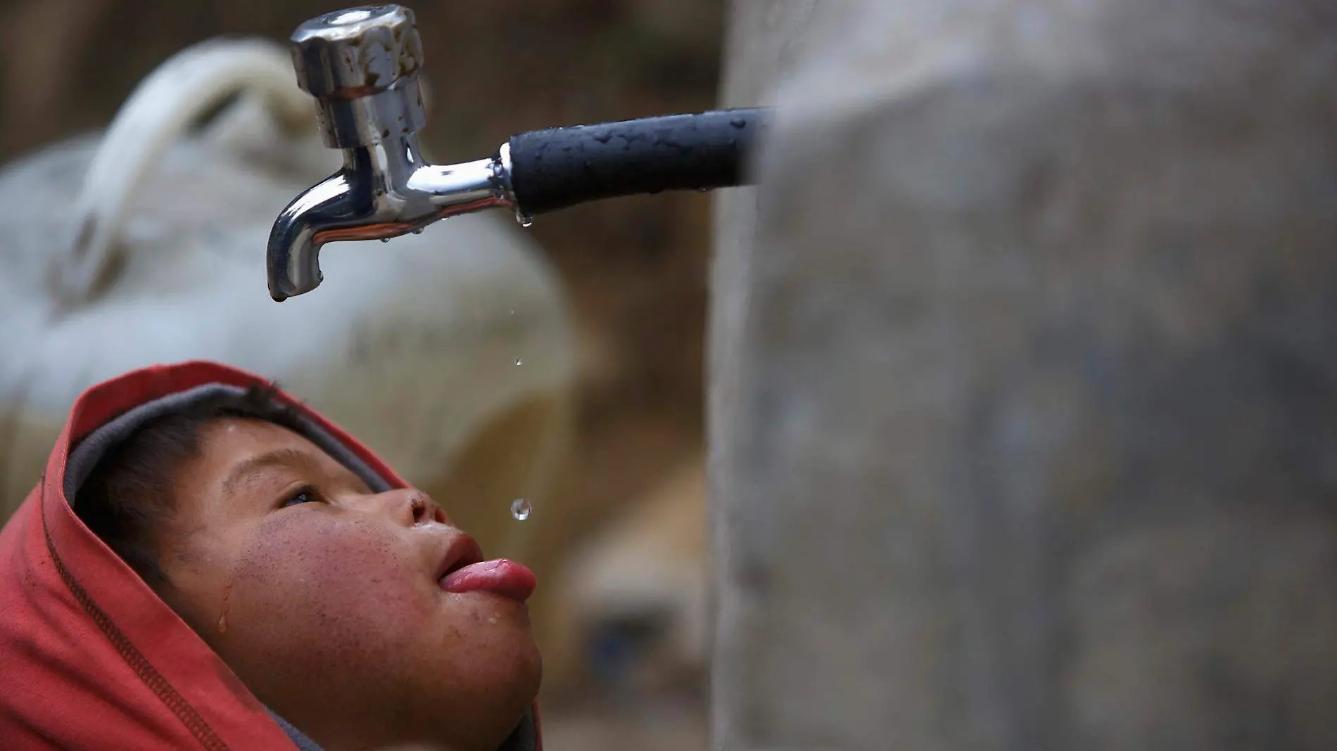 falta de agua